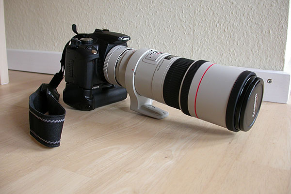 Canon EOS 350D + Canon EF 300mm f/4 L IS USM + Canon Extender EF 1,4x II