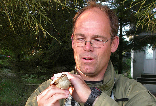 Michael Johansen får ny mærkerart - Drosselrørsanger 2k+, Blåvand Fuglestation, 20. maj 2007